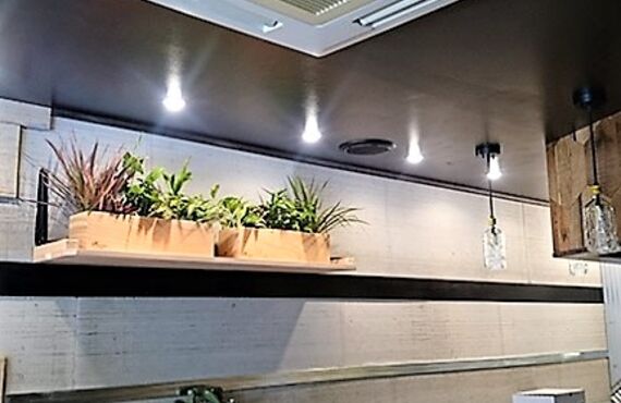 国産ヒノキの間伐材を用いたシンプルモダンなデザイン◎広島市の観葉植物レンタルはグリーンポケット広島西