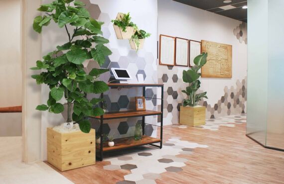 室内にグリーンを置きたいがスペースが無いときには◎広島市の観葉植物レンタルはグリーンポケット広島西