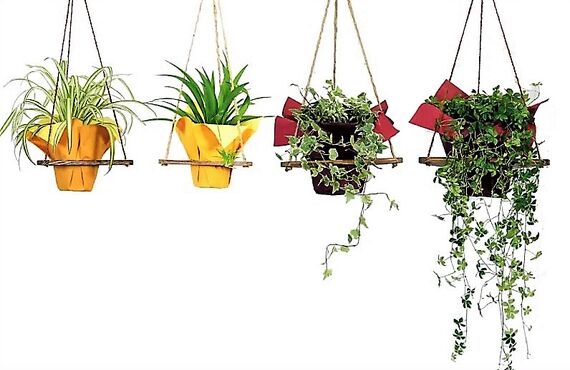 植物を邪魔しないバランスのとれたデザイン◎広島市の観葉植物レンタルはグリーンポケット広島西