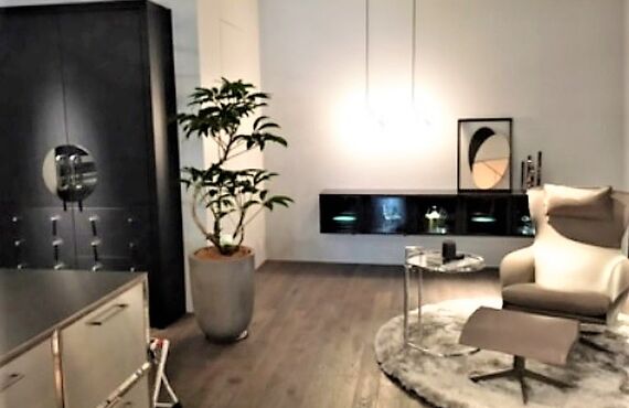 おすすめのショールームプラン◎広島の観葉植物レンタルはグリーンポケット広島