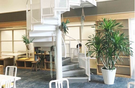 社員やお客様に彩りのある快適な空間を◎広島の観葉植物レンタルはグリーンポケット広島