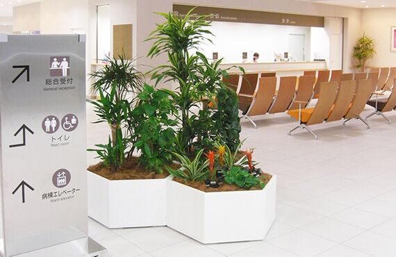 空間に「癒し」や「彩り」を与えます◎広島の観葉植物レンタルはグリーンポケット広島