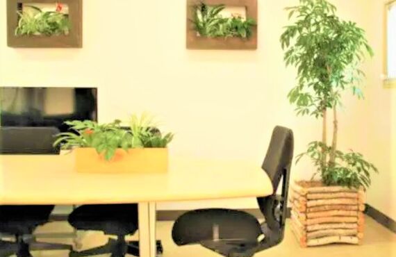 原木を自然のままに鉢カバーにしました◎広島の観葉植物レンタルはグリーンポケット広島