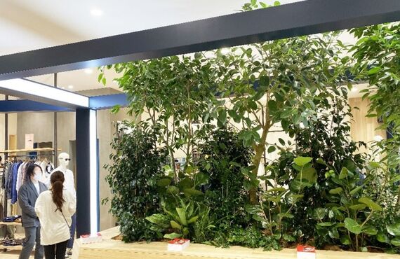 グリーンポケットの観葉植物レンタルのメリット⑤◎広島の観葉植物レンタルはグリーンポケット広島