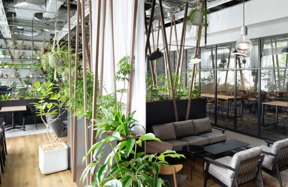 植物は従業員の健康を守る「健康経営」の大きな柱です◎広島の観葉植物レンタルはグリーンポケット広島西
