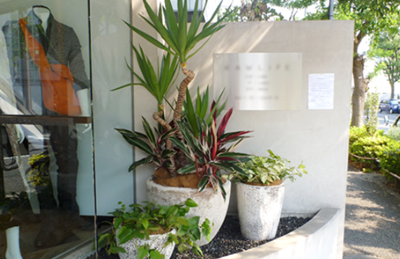緑の持つ生命力やエコでクリーンなイメージを演出します◎広島の観葉植物レンタルはグリーンポケット広島西