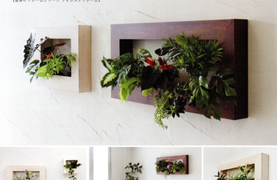 絵を飾るようにグリーンを壁掛けに。空間にあわせサイズ、カラーが選べる◎「緑のレンタル」グリーンポケット広島西店