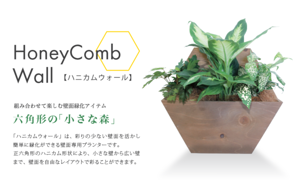 六角形の「小さな森」ハニカムウォール。壁掛けのオシャレなプランターです。◎グリーンポケット広島西店